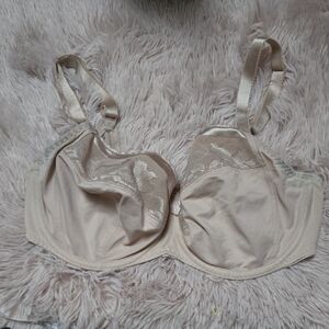 Fantasie Womens Cream Lace Underwire Bra 34H